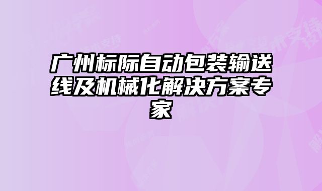 廣州標(biāo)際自動包裝輸送線及機(jī)械化解決方案專家