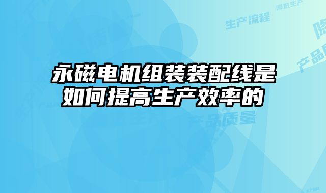 永磁電機組裝裝配線是如何提高生產(chǎn)效率的